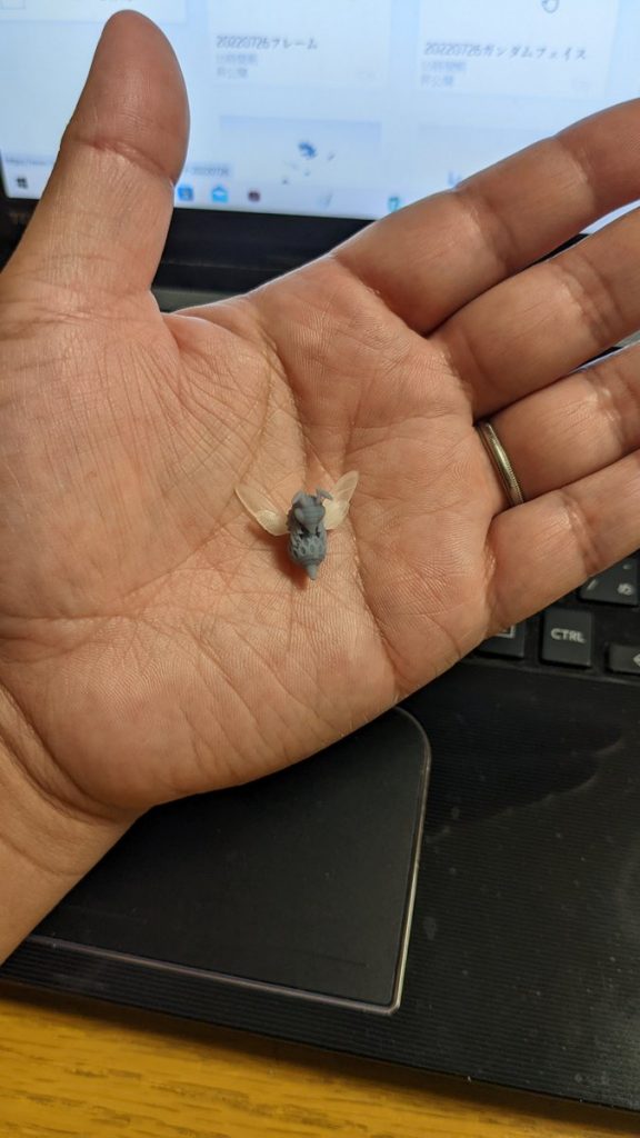 実物の大きさはミツバチくらいです。