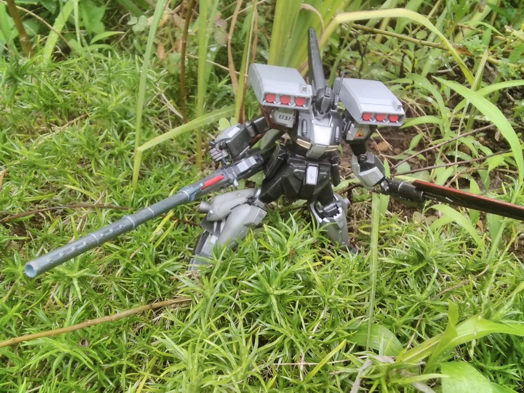 どうでも良い話、ロケ地はうちの庭ですね。当日、雨が降ってました。