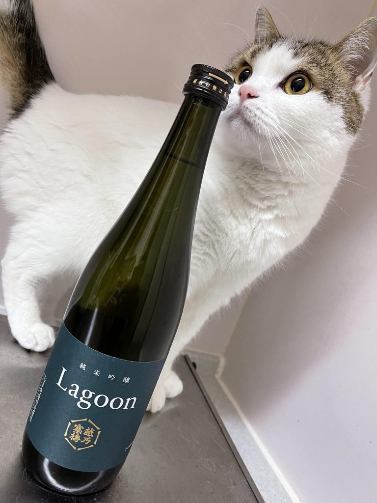 　ガンプラ以外のモノに全力投球、返す刀でオラザク用作品の制作。真っ白に燃え尽きてしまって、リハビリ代わりにガンダム三種盛りを作ってみました。ドノーマルなRX78もなかなか良いですが、どうやっても写真写りがよろしくない。機体がシンプル過ぎるからか、単に撮影の腕とセンスが悪いだけか（苦笑）。　徐々に店頭の品薄感もなくなってきて、好きな物を好きな時に作れるようになるまであと一歩！って感じでしょうか。この調子で、プラモ制作を続けていきたいですね。　ご覧いただいた皆様、ありがとうございました。