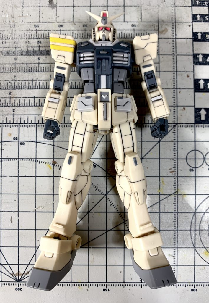 全身のスジボリとプラチップ貼り付けを終わった状態です。