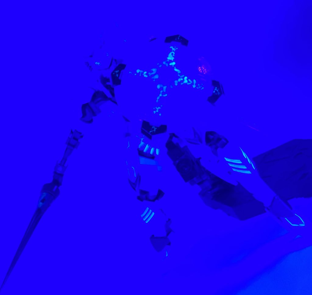 闇夜でこんなん寄ってきたら完全なホラーだな、と