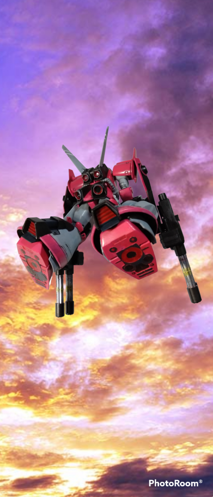 バックショット。