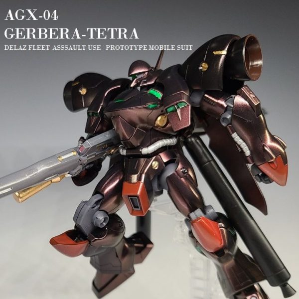 ガーベラテトラ　全塗装