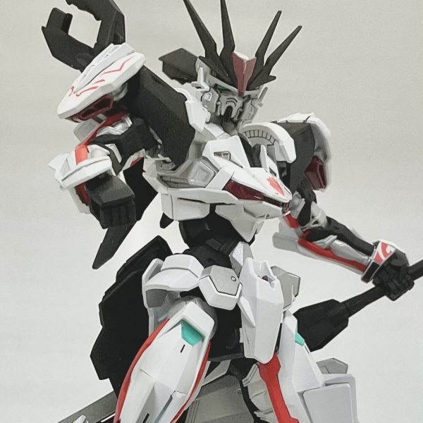 HG ロードアストレイΩ