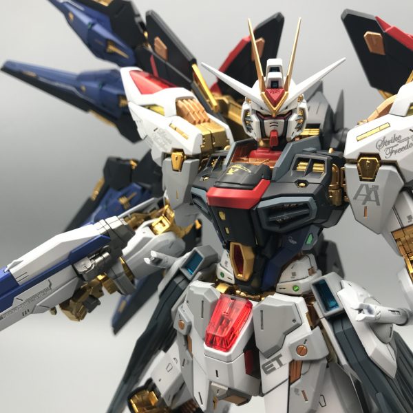 注目の ガンプラ MGEX ストライクフリーダムガンダム 全塗装完成品