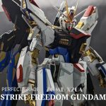 pgストライクフリーダム完成品｜kenshira0123さんのガンプラ作品