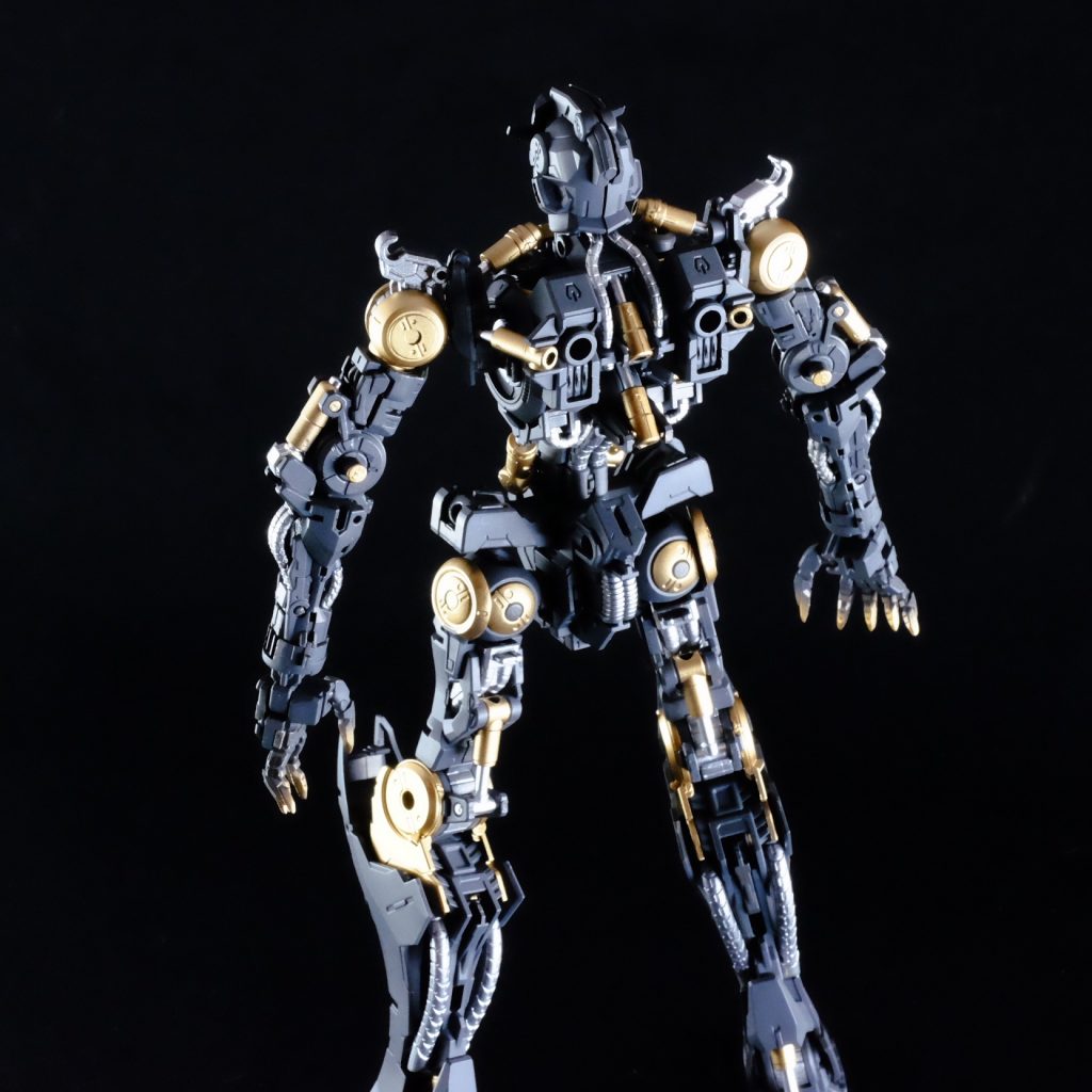 内部フレームだけでも飾っときたいくらいカッコイイ✨