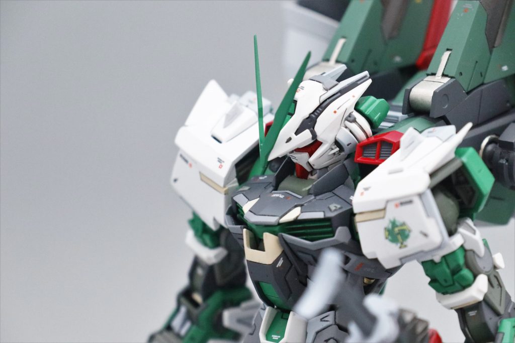MG1/100 Blast Astray Gundam–2枚目/制作者：OwLG