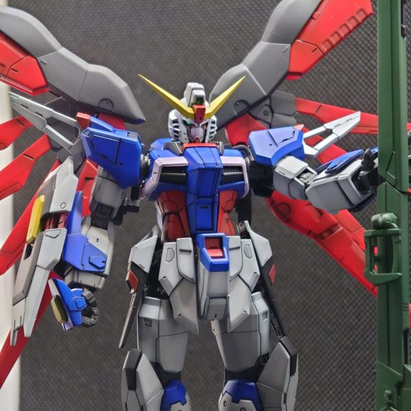 デスティニーガンダム　RG