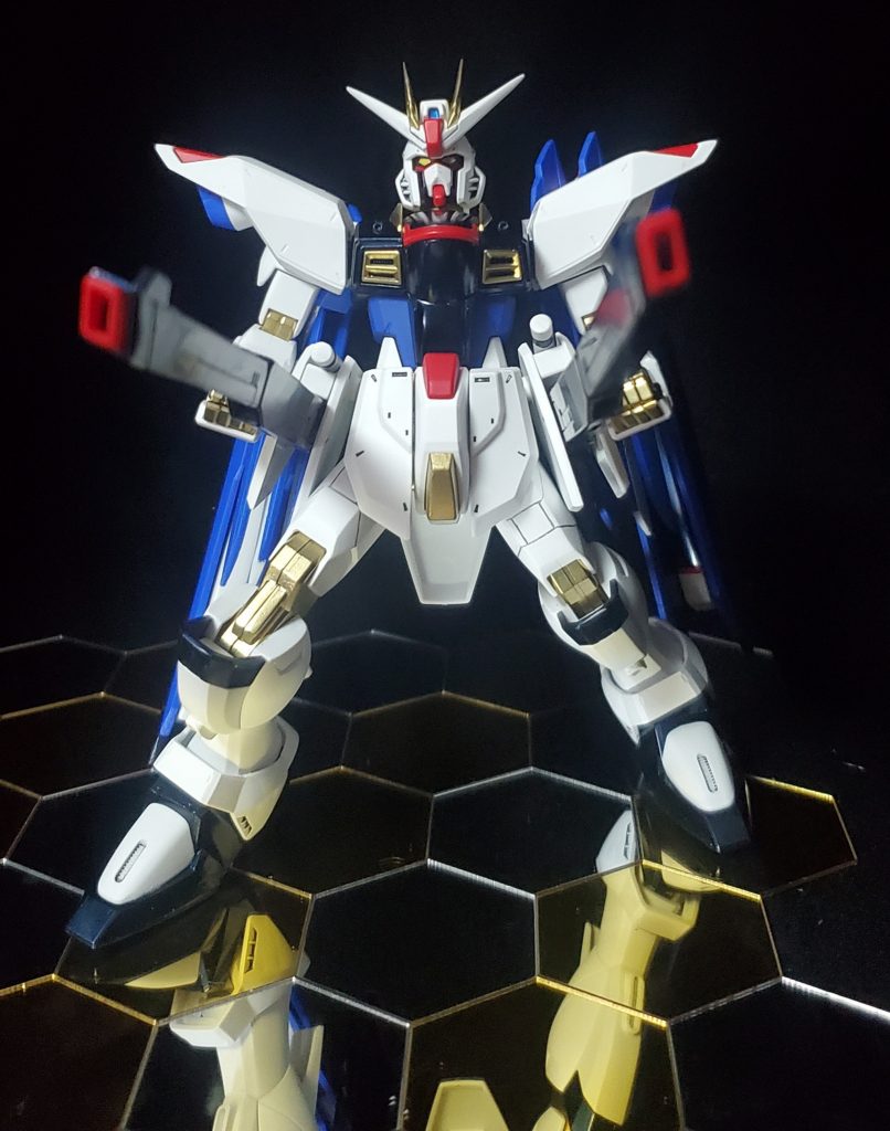 がっしり体型も良いです。胴が少し短いですが、そこも良い所と思います。