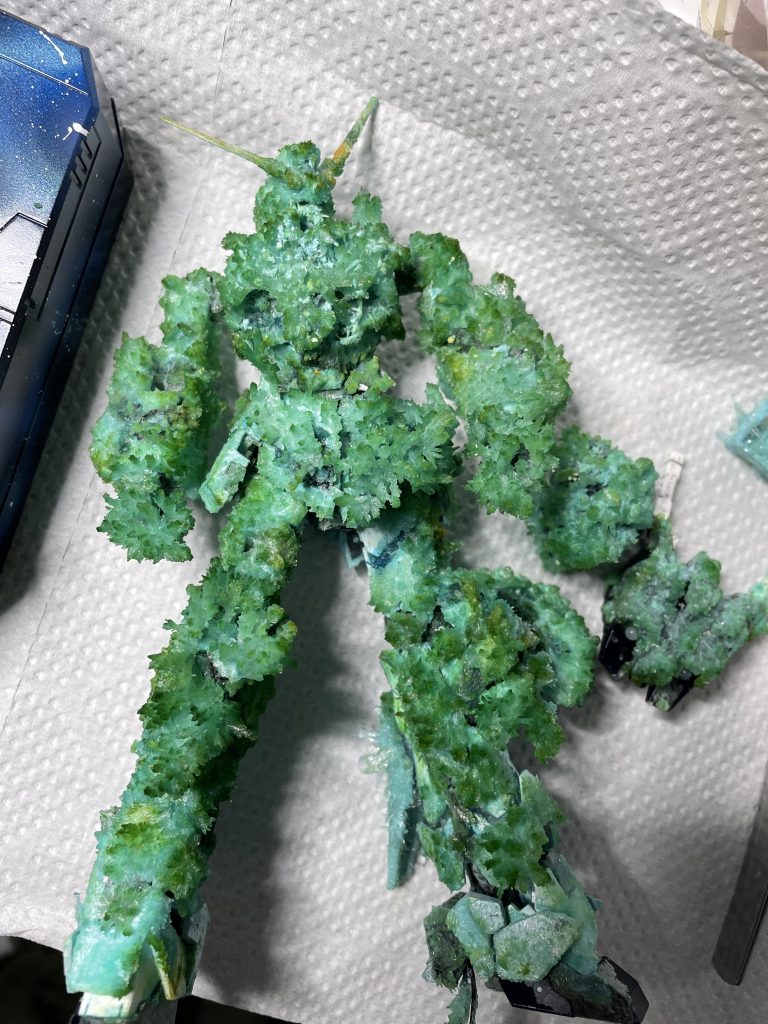 不要部分を削り落とす前。全身びっしりと結晶がついてしまいました…