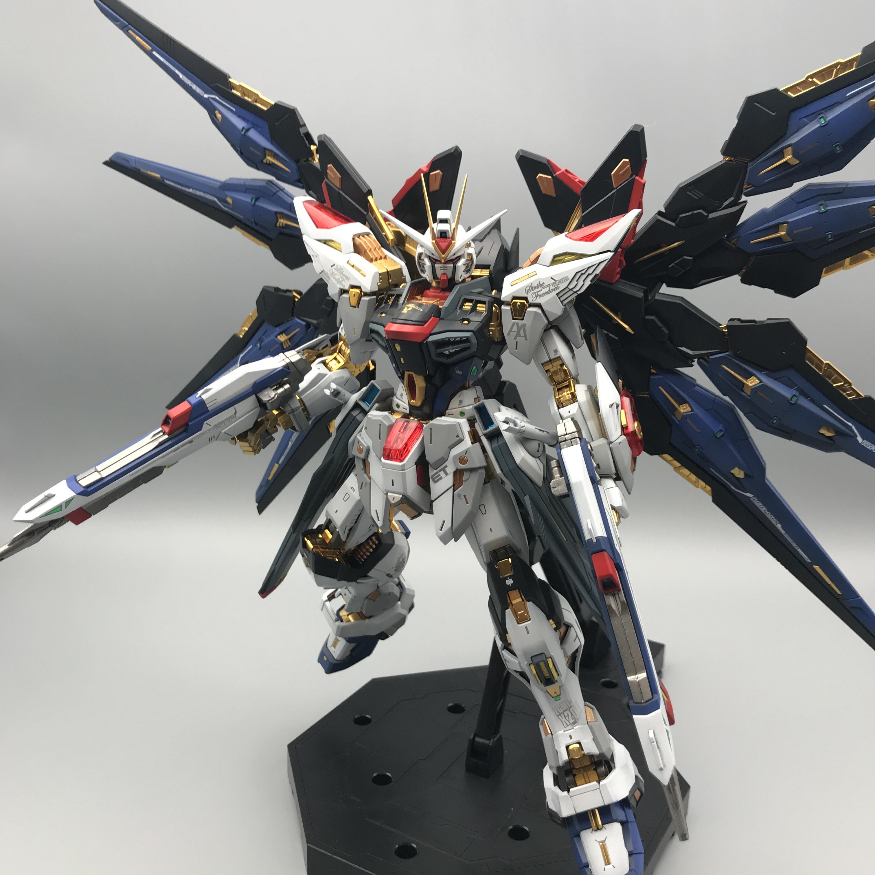 白木/黒塗り MGEX ストライクフリーダム MG フリーダム ガンプラ 全