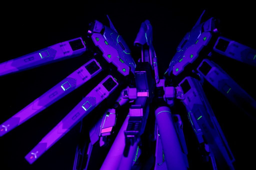 鳥類を思わせる背面。