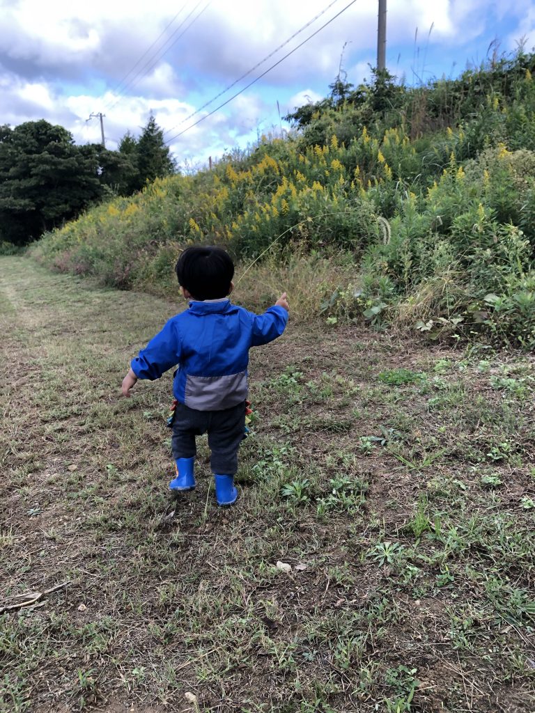 これが今回のカラーの参考です。