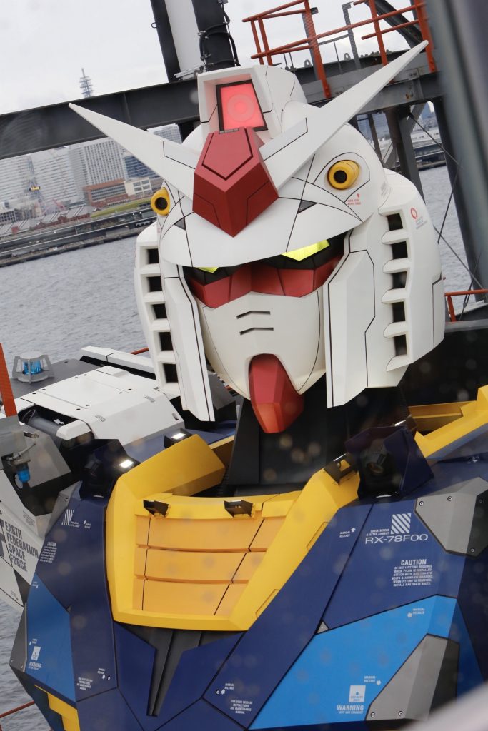 現物をタワーの上から。ちょうど目線がもらえました。