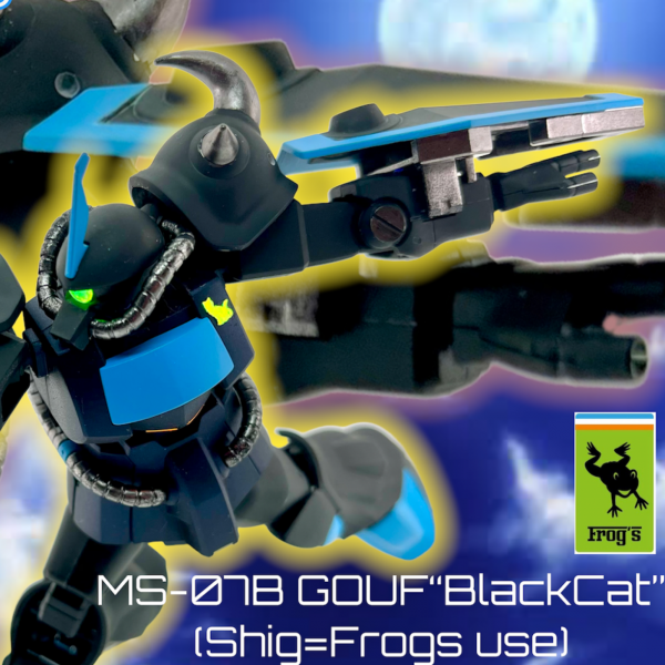 HGUCエコプラ グフ“ブラックキャット”