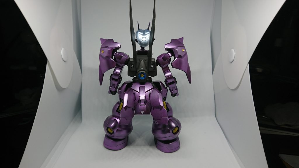 正面。頭の羽根がどうしても目立ちますｗ