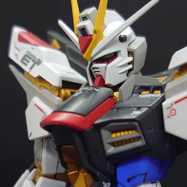 ＲＧストフリです。