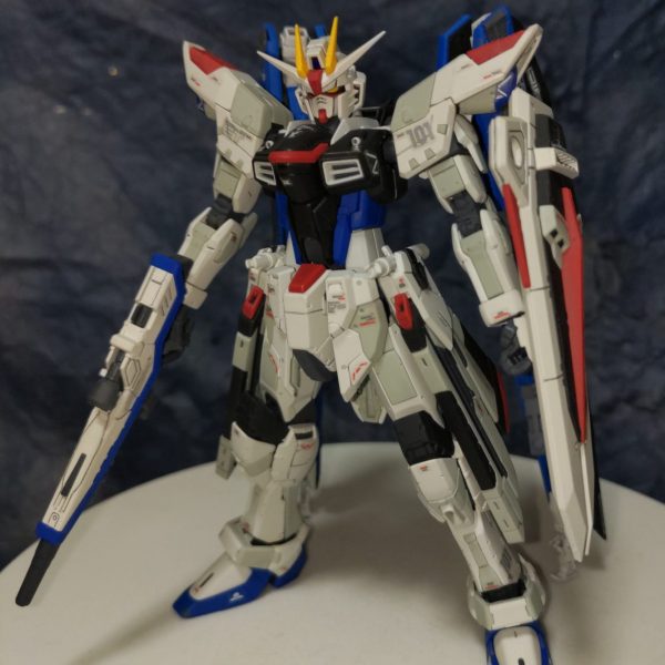 1/144RGフリーダムガンダムver.GCP