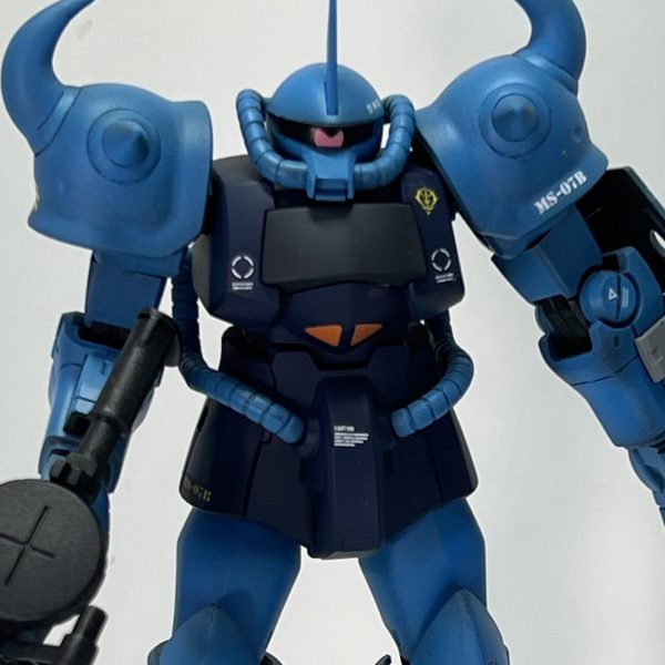 エコプラ　グフ