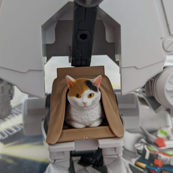 ニャンデロビウム