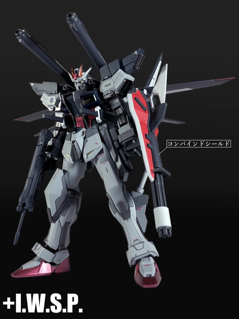 GAT-X105D+I.W.S.P.ストライク(再生機)ではあらゆる戦局に対応するためのデータ収集という目的の元、統合兵装ストライカーパック「I.W.S.P.」を装備していた。本機においても、その任を引継ぐ形で ストライカーパックは主に「I.W.S.P.」が装備された。