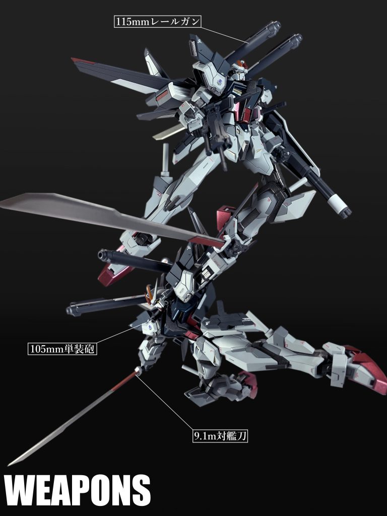 実体兵器を数多く搭載した「I.W.S.P.」とビーム兵器を固定装備とした「フォルテストラ」の組み合わせは相互に機能補完を果たしていた。後に開発される「ストライクE」では「ノワールストライカー」が標準搭載となり、機体とストライカーパックを併せて高い汎用性を獲得することとなった。