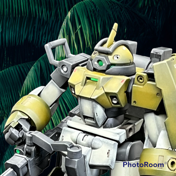 HGチュチュパイセンデミトレーナーちゃん