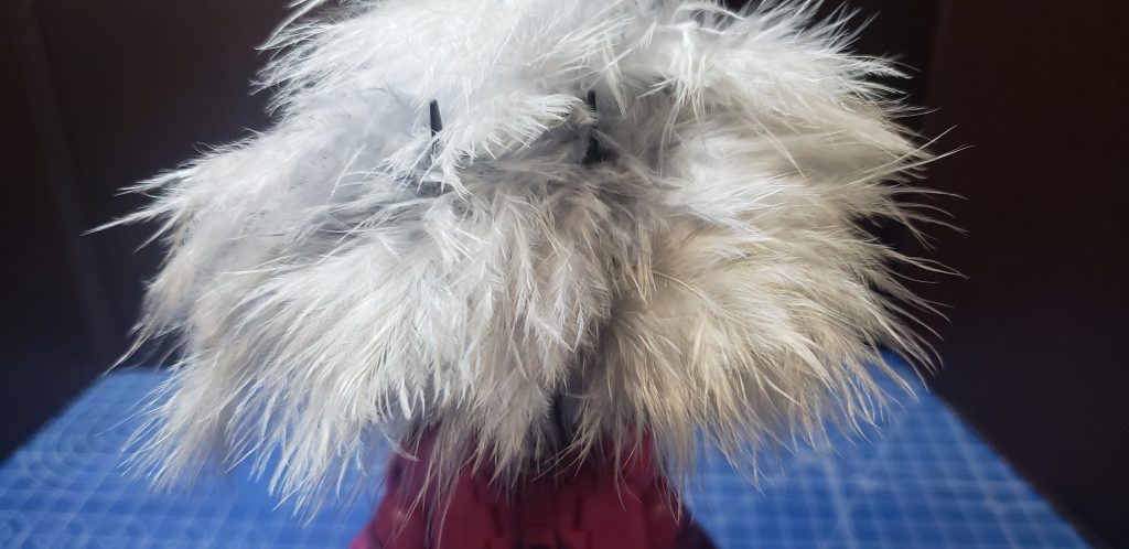 背面、もう何か分からない。