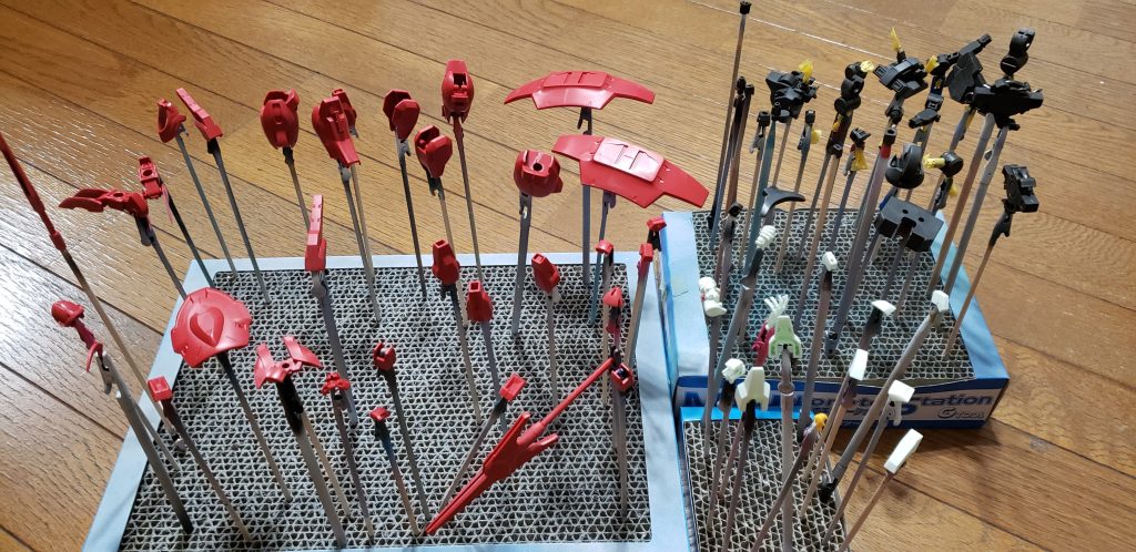 儀式のはじまり