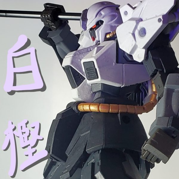 白樫(シラカシ)