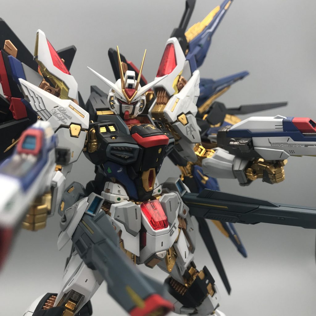 MGEX ストライクフリーダム　全塗装　その2–6枚目/制作者：zima5250