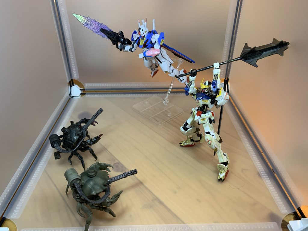 今夜はカニだ！