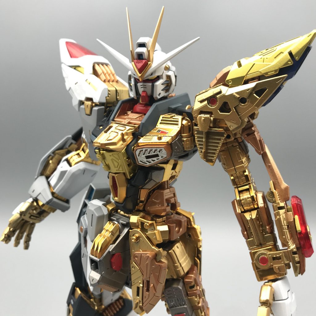 MGEX ストライクフリーダム　全塗装　その2–8枚目/制作者：zima5250