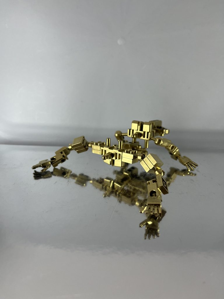 フェストゥム型