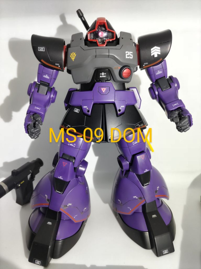 MS-09 DOM