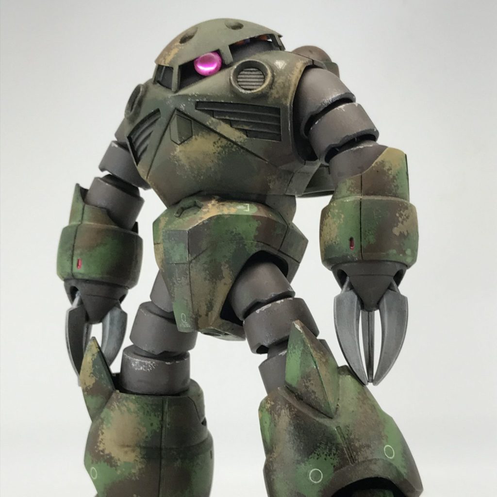 ガンプラジオラマ ズゴック ガンプラ/ジオラマ】HG ズゴック (SEED FREEDAM Ver.) あの劇中