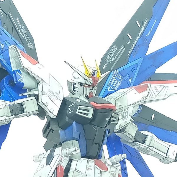 フリーダムガンダム Ver.GCP