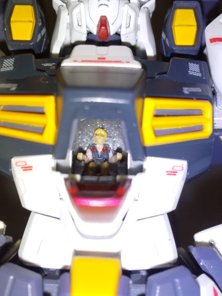 コックピットにもいるよ~