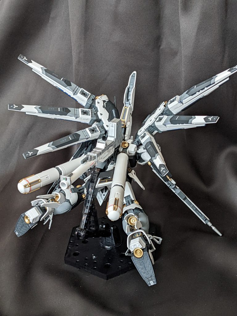 後ろ姿もお気に入りです。