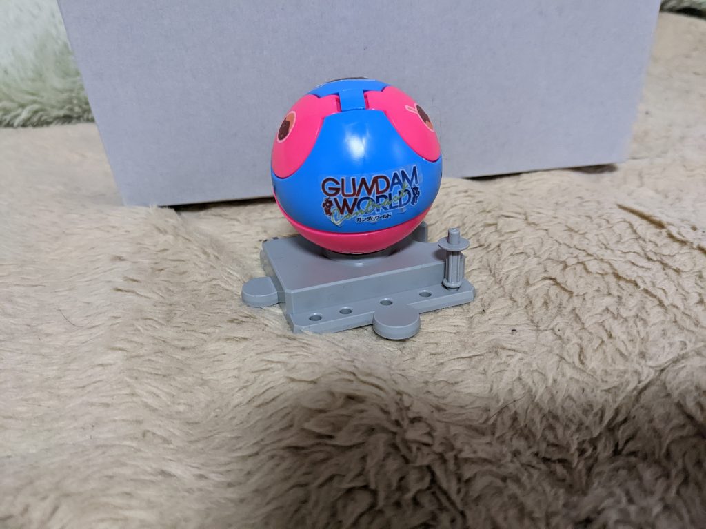 丸まった図の背面です。