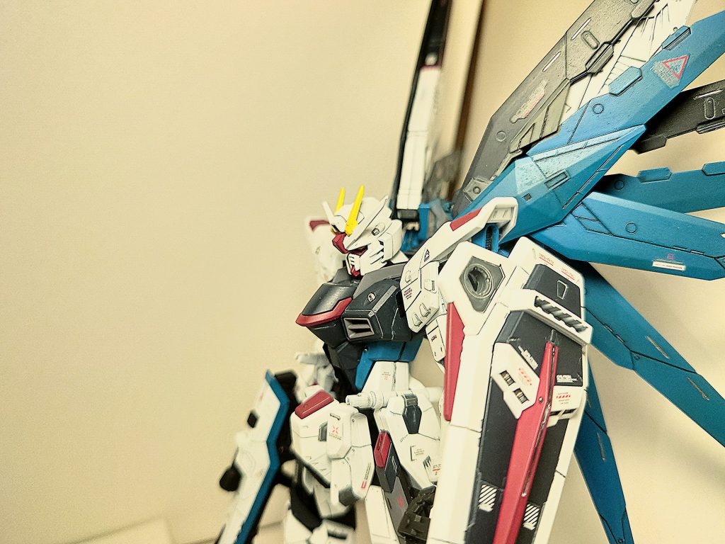 羽を広げて横顔