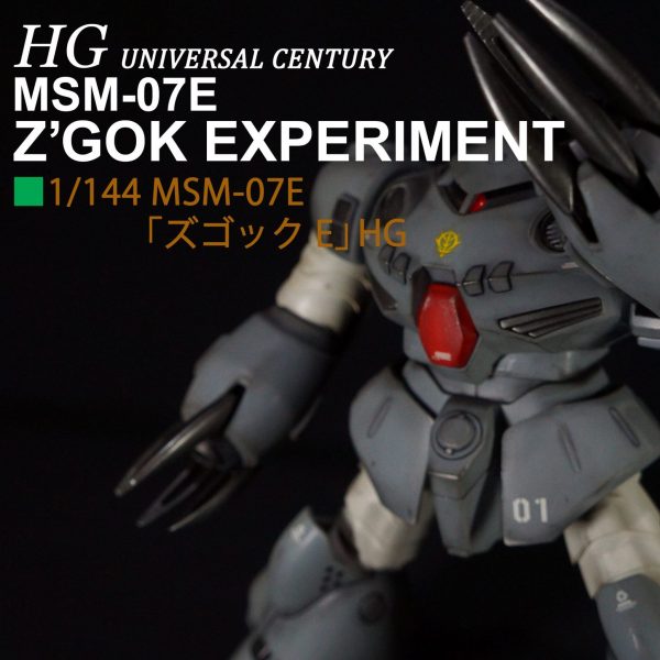 【ウェザリング仕上げ】HGUC ズゴックE
