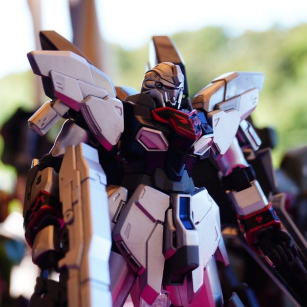 HG シナンジュスタイン