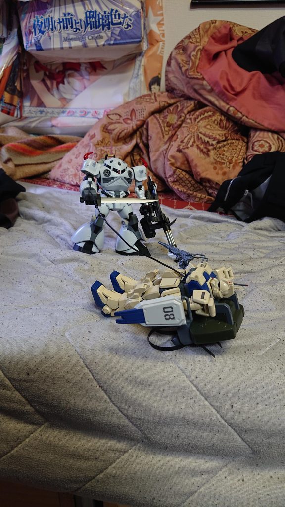 ゾゴックの右腕にグフカスタムから移植したヒートロッドを使用中、お相手は前に作ったEZ-8になります。後は手持ちのヒートブレード