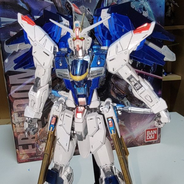 MGフリーダム   Ver2.0