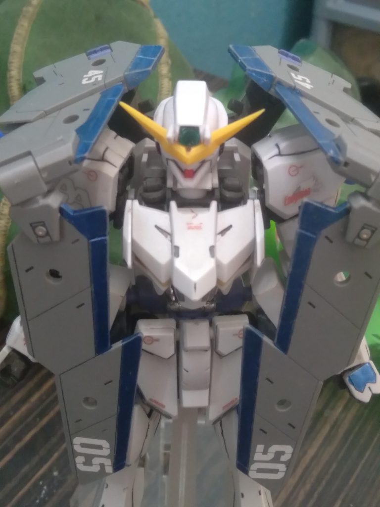 The wings can fold over to be a sort of defense mechanism 