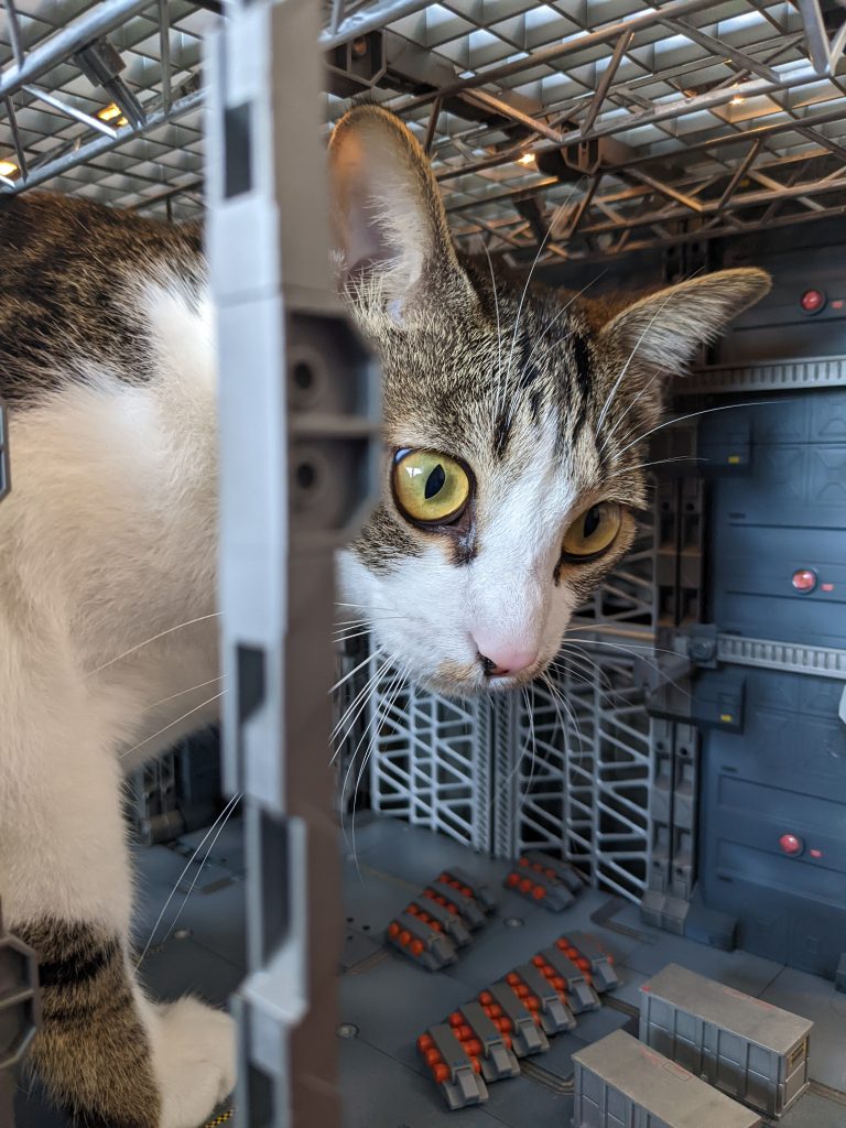 一度うちのキャット様に破壊されたのですが(写真の際は無事でしたが…)この正月で修復したので掲載させていただきます。