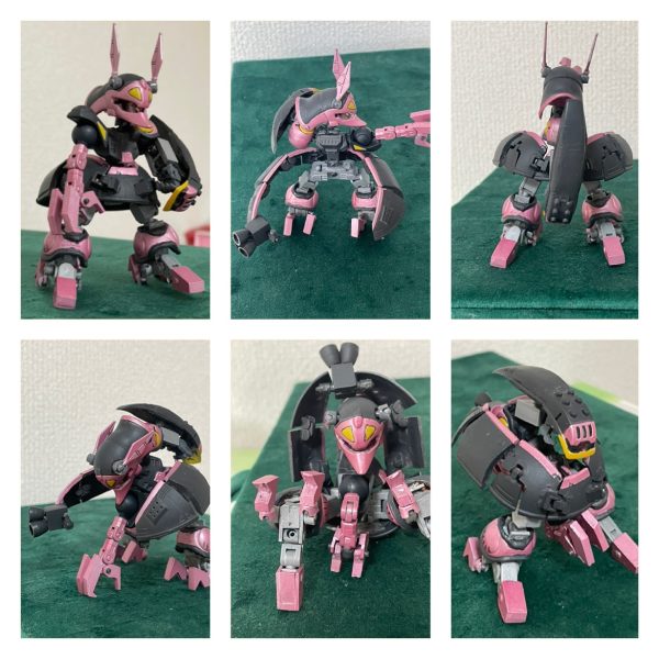 バウンドドック