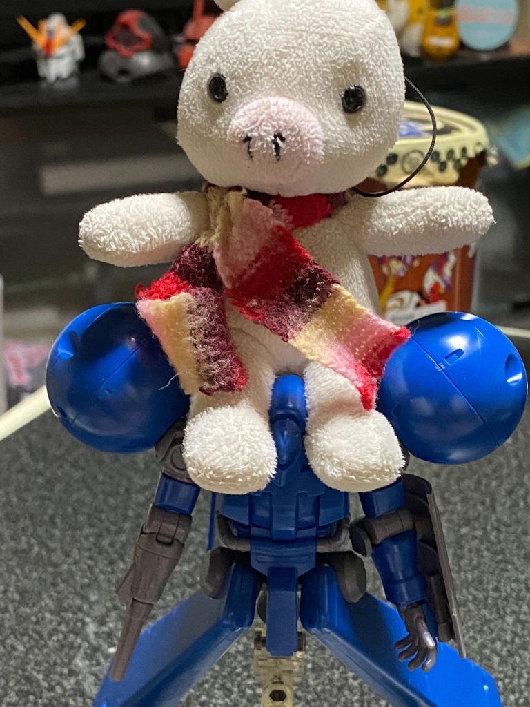 今年は私の歳なので宜しくお願いします⊂((・x・))⊃